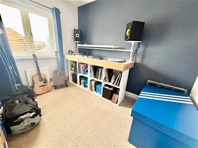 Picture 17